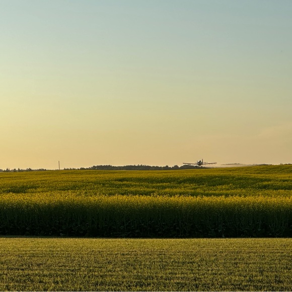 Meet your Posher, Terralyn - Picture 1 of 1